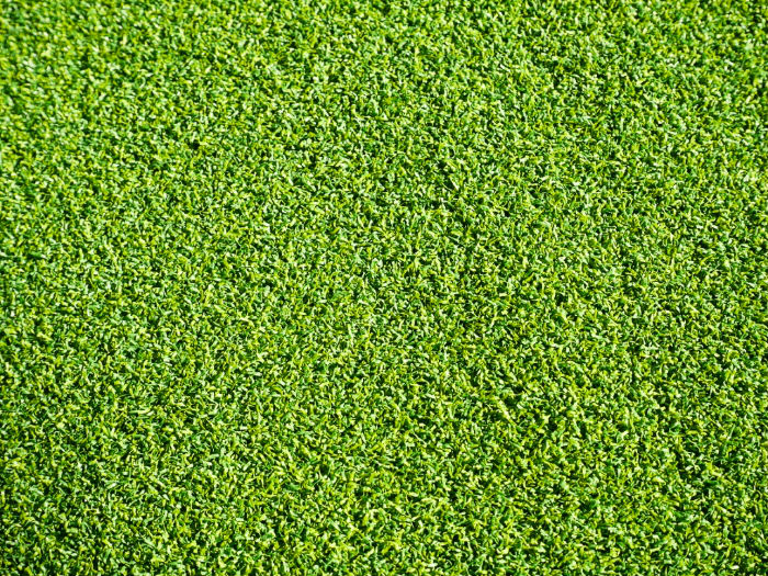 カールタイプ芝丈 16mm